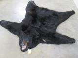 Very Nice /Big Black Bear Felted Rug w/Mounted Head TAXIDERMY