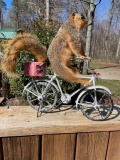 HUGE Fox Squirrel, on an old bike- Free-wheeling ! 17 inches tall X 16 inches long NEW taxidermy log