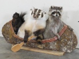 Lifesize Badger, Coon & Squirrel in Canoe TAXIDERMY