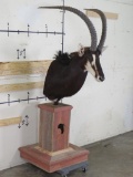 Nice Sable On Wooden Pedestal w/Africa Cut Outs TAXIDERMY