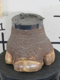 RARE Rhino Foot Ashtray *TX RES ONLY* TAXIDERMY ODDITIES&CURIOSITIES