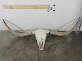 XL Texas Longhorn Skull w/68