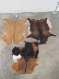3 Goat Hides, one partial (ONE$) TAXIDERMY