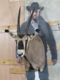 Fringe Eared Oryx Sh Mt TAXIDERMY