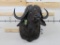 Cape Buffalo Sh Mt TAXIDERMY