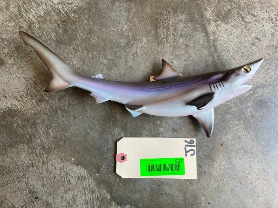 Repro, baby, Sand Shark, New in Box, about 14 inches long excellent fish taxidermy natucial decor