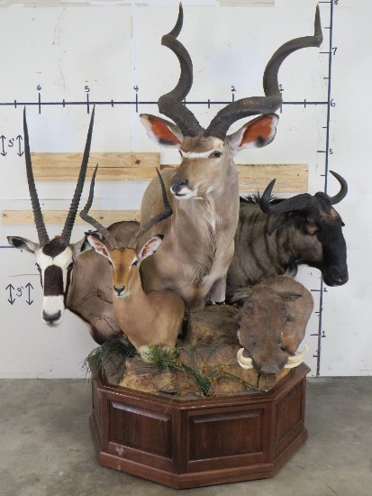 Very Unique, Very Nice Clean Mount, Kudu, Gemsbok, Impala, Warthog & Wildebeest