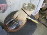 Vintage Hoof Cigar Ashtray TAXIDERMY ODDITY