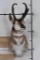 PRONGHORN Shoulder Mount Looking Left
