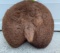 *New* BUFFALO BUTT with a Short Tail