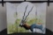 Hand Painted BLACKBUCK, signed by artist Jim Telford 1991