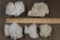 (5) Clusters of Natural and Raw White ARGONITE CAVE CALCITE, Weigh: 4 lbs (ONE$)