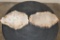 (2) Polished PETRIFIED WOOD Slices from Indonesia (ONE$)