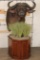 CAPE BUFFALO on a Wood Pedestal with Wheels