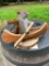 *New* PINE SQUIRREL Mounted in a Canoe