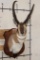 PRONGHORN Shoulder Mount with Replica Horns of the Famous 