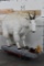 Life-sized MOUNTAIN GOAT on Decorative Base with a Wall Hanger