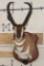 XXXL PRONGHORN Shoulder Mount with Replica Horns after 