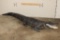 Massive Life-sized free-standing ALLIGATOR