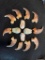 (10) BLACK BEAR Front Claws Plus (4) ELK IVORIES in a Glass Display Case (ONE$)