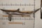 XL Reproduction BLACKTIP SHARK with Real Jaws and Teeth!