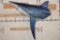 Big Reproduction Half Body LONGFIN MAKO SHARK with Real Jaws and Teeth