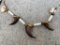 (2) Native American style BEAR Claw and ELK Ivory and Bone Necklaces (ONE$)