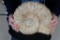 BIG AMMONITE FOSSIL from Morocco with a Metal Display Stand, Weight: 16 lbs