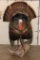 Life-sized Strutting TURKEY on a Driftwood Base