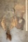 (1) HIPPOPOTAMUS Tail Hide and (1) HIPPO Hide Section (ONE$)