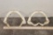 (2) SHARK Jaws (ONE$)