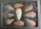 (9) ARROWHEAD Points in a Glass Display Case (ONE$)