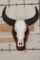 WATER BUFFALO Skull on a Wood Wall Pedestal