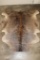 *Brand New* Brown and Tan COW HIDE