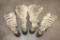 (4) ZEBRA Hooves with attached Leg Hide (ONE$)