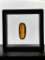 Authentic 10.3 ct Myanmar AMBER Fossil Resin with a Horsefly Inclusion