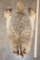 North American BADGER Hide
