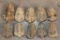 (10) TRILOBITE Fossil Specimens from Morocco (ONE$)