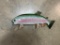 *New in the Box* RAINBOW TROUT Fish Mount