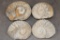 (4) AMMONITE FOSSILS (ONE$)