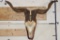 CATALINA GOAT Skull on a Plaque