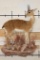 Life-sized ORIBI on a simulated Rock Wall Base