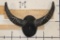 Big Mounted WATER BUFFALO Horns