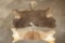 (1) BLACK WILDEBEEST Back Hide and (1) IMPALA Back Hide (ONE$)