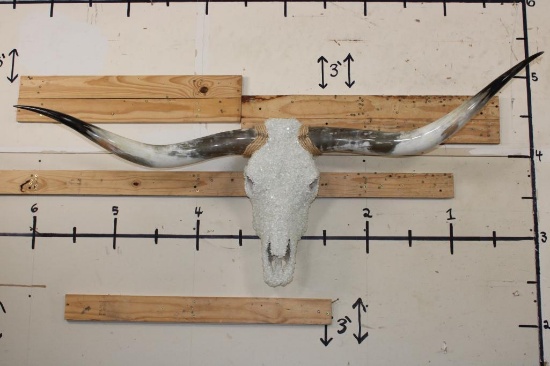 Big Polished LONGHORN Skull embellished with Glass