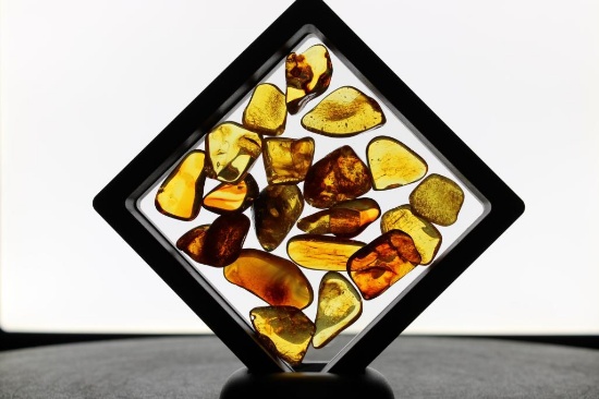 (20) Pieces of Authentic "Baltic Gold" AMBER Fossil Gemstones (ONE$)