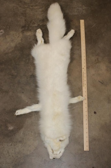 Full Body ARTIC FOX Cape with All the Paws and Claws