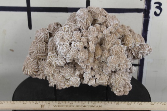 Stunning "DESERT ROSE GYPSUM" or Selenite Crystal Formation Cluster, Weight: 7lbs 1oz