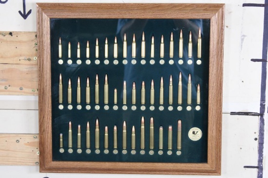 Tatonka Cartridge Display in a Glass and Wood Shadowbox Frame