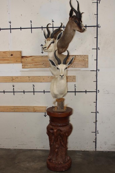 3 SPRINGBOKS on a Decorative Pedestal